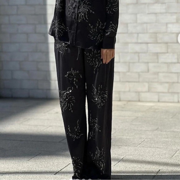 Zara embellished pants